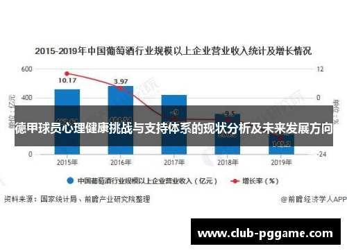 德甲球员心理健康挑战与支持体系的现状分析及未来发展方向