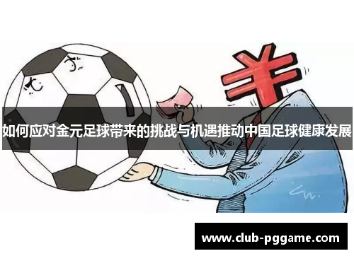 如何应对金元足球带来的挑战与机遇推动中国足球健康发展