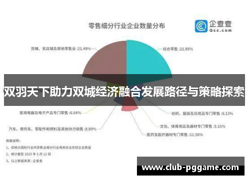 双羽天下助力双城经济融合发展路径与策略探索