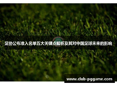 足协公布准入名单五大关键点解析及其对中国足球未来的影响