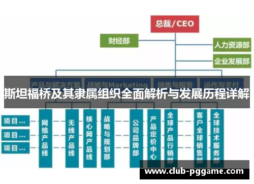 斯坦福桥及其隶属组织全面解析与发展历程详解
