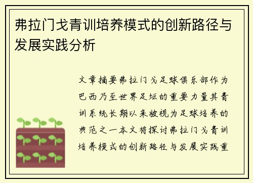 弗拉门戈青训培养模式的创新路径与发展实践分析